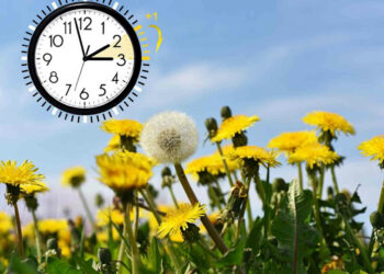 Torna l'ora legale, lancette in avanti fra sabato e domenica