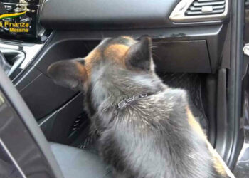 Narcotraffico imbarcaderi di Messina: 1,5 kg cocaina