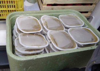 Vittoria, refezione scolastica: Lamentele crescenti delle famiglie già dai primi giorni