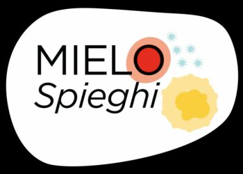 Tumori rari del sangue, ritorno alla vita focus di Mielo-Spieghi 2022