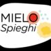 Tumori rari del sangue, ritorno alla vita focus di Mielo-Spieghi 2022