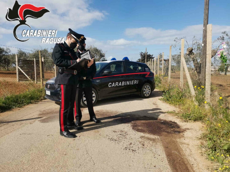 Acate, furto e uccisione del pony: denunciato 32enne