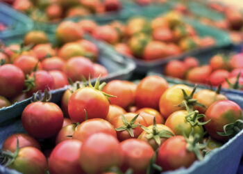 Agricoltura Vittoria