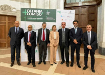 Sac: Catania+Comiso, il sistema aeroportuale Hub del Mediterraneo