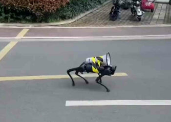 Covid Cina, lockdown a Shanghai: cani robot nelle strade deserte