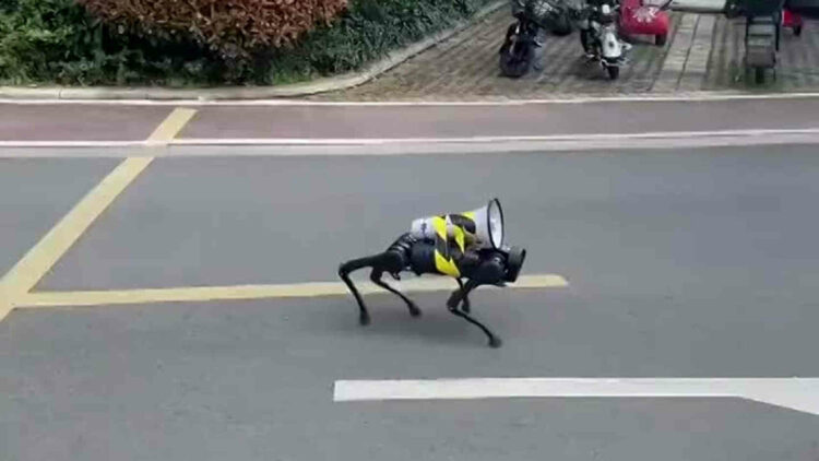 Covid Cina, lockdown a Shanghai: cani robot nelle strade deserte