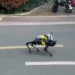 Covid Cina, lockdown a Shanghai: cani robot nelle strade deserte