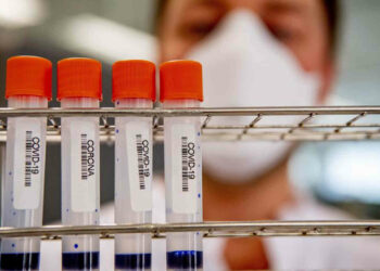 Covid Italia, scoperta la nuova variante Xj