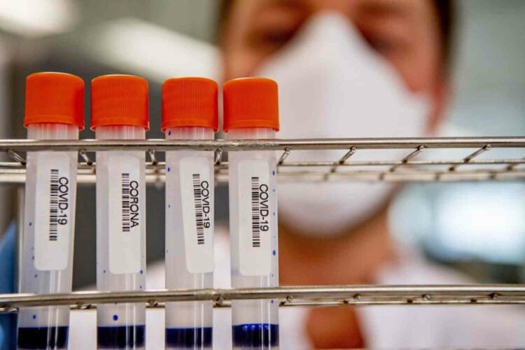 Covid Italia, scoperta la nuova variante Xj