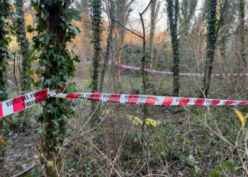 Donna morta a Trieste, Chi l'ha visto? Trovata impronta sacco nero