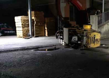 Incidente domestico, 17enne muore schiacciato da muletto