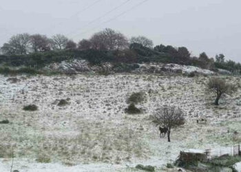 Maltempo e neve, nevica a bassa quota in Sardegna