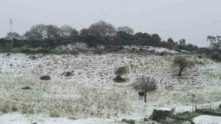 Maltempo e neve, nevica a bassa quota in Sardegna