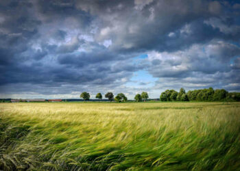 Meteo, feste di Pasqua con il sole ma vento e freddo