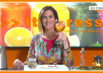 Sorsi di benessere – Una tisana fredda contro la ritenzione idrica