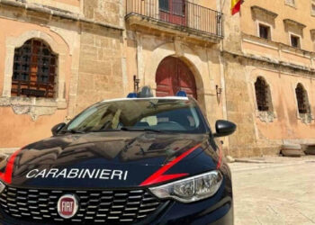 Pony ucciso ad Acate, individuati gli autori del delitto: Oipa parte civile