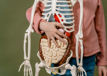 Ragusa, la due giorni dedicata alla donazione degli organi