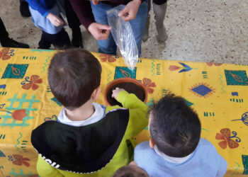 Un seme in aula nella Scuola dell’infanzia a Ragusa