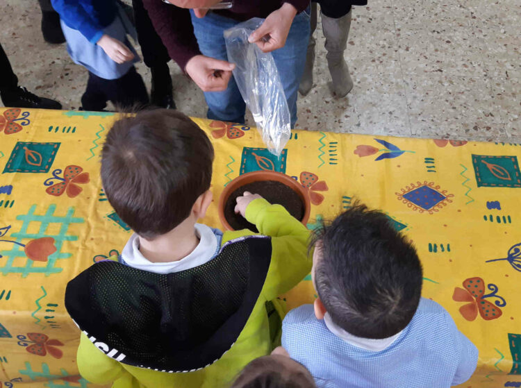 Un seme in aula nella Scuola dell’infanzia a Ragusa