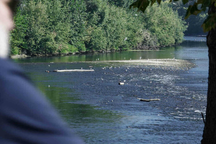 Cadavere dentro un borsone nero nelle acque del Po
