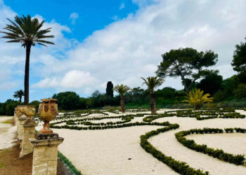La consegna del restaurato parterre geometrico (al momento circondato da una bassa rete per proteggere le giovani piante dai conigli che abitano nel Parco) e il Gran Ballo del Gattopardo alla presenza del sindaco di Donnafugata (con cui ho avuto l’onore di scattare una foto). Nell’ambito delle Giornate della Case della Memoria, ha preso avvio uno speciale weekend per il nostro Castello. Due giorni di promozione e valorizzazione, a ingresso ridotto, che si inseriscono nel percorso di rigenerazione e sviluppo di Donnafugata. Il Parco beneficia di una manutenzione dedicata, bookshop e caffetteria sono quasi ultimati, i ristrutturati locali del borgo sono pronti ad accogliere il nuovo Museo del Prodotto contadino, i lavori per restaurare e aprire la torre quadrata sono già stati consegnati, la nuova segnaletica installata: solo alcuni degli interventi per prenderci cura del più visitato dei nostri monumenti.