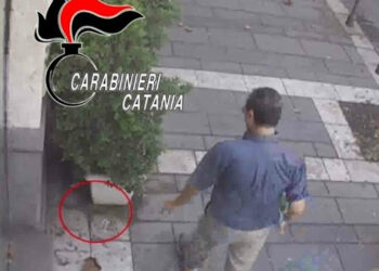 Dissemina esche per cani con ami e chiodi: denunciato