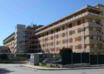 Ragusa – Positivi al virus Covid ancora in calo ma morti ancora in aumento in provincia di Ragusa. A dirlo sono i dati dell’Asp di Ragusa di oggi 10 aprile 2022. I positivi in totale sono 3937 di cui 3869 si trovano in isolamento domiciliare, 54 ricoverati negli ospedali di Ragusa, Modica e Vittoria e 14 nella RSA. I guariti salgono a 78.498 mentre i morti sono saliti a 524. Un altro decesso è stato registrato nelle ultime 24 ore. Si tratta di una donna di 75 anni di Modica morta nel reparto di malattie Infettive all’ospedale maggiore di Modica. Ecco i dati aggiornati ad oggi dei test per il coronavirus: 269.832 tamponi molecolari, 38.372 test sierologici, 799.573 test rapidi per un totale di 1.107.777. Covid: positivi virus nei 12 Comuni della provincia di Ragusa 41 Acate 94 Chiaramonte Gulfi 285 Comiso 36 Giarratana 235 Ispica 930 Modica 31 Monterosso 244 Pozzallo 1211 Ragusa 66 Santa Croce Camerina 277 Scicli 419 Vittoria Covid in provincia di Ragusa: i ricoverati Vediamo come sono distribuiti i 54 ricoverati