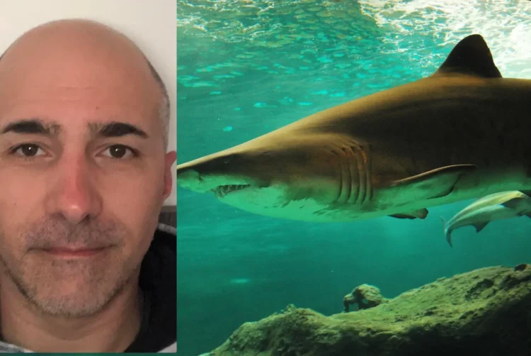 Castellaneta, squalo toro di oltre 3 metri attacca un kayak: ha tentato più volte di farmi cadere