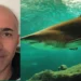 Castellaneta, squalo toro di oltre 3 metri attacca un kayak: ha tentato più volte di farmi cadere
