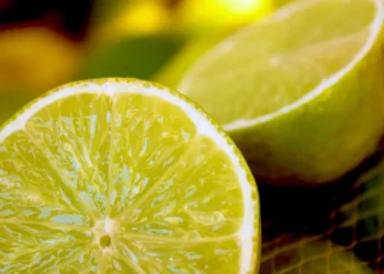 Dieta rapida del limone per dimagrire in 7 giorni: menù