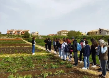 Gli studenti del Ferraris di Ragusa agli orti sociali