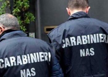 Nas ragusa, controlli sicurezza alimentare e sicurezza sanitaria