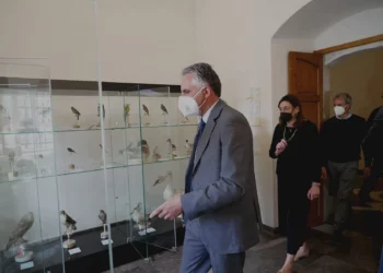 Palazzo dei Mercedari Modica. Si arricchisce il Museo Ornitologico Faunistico