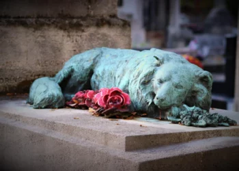 Ragusa, a Marina e Ibla potranno essere seppelliti cani e gatti