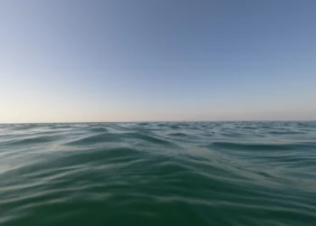 Terremoto in Giappone, scossa magnitudo 6 nel mare