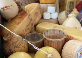 Un progetto per salvare 15 formaggi del Sud Italia