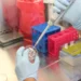 Vaiolo scimmie, virus isolato a Milano