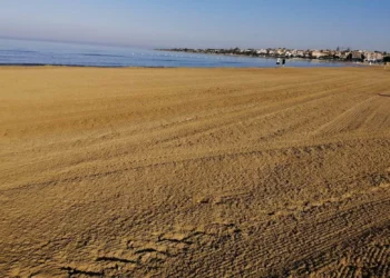 WWF ai Comuni balneari: non spianate le spiagge come tavole di biliardo