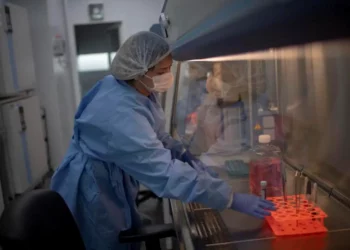 Vaiolo delle scimmie, Oms: 92 casi in 12 Paesi