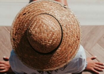 Estate fa rima con zanzare, oltre 70 specie in Italia