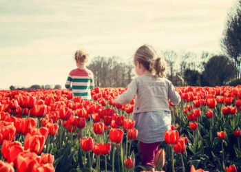 Assegno unico luglio 2025: le date dei pagamenti mese per mese