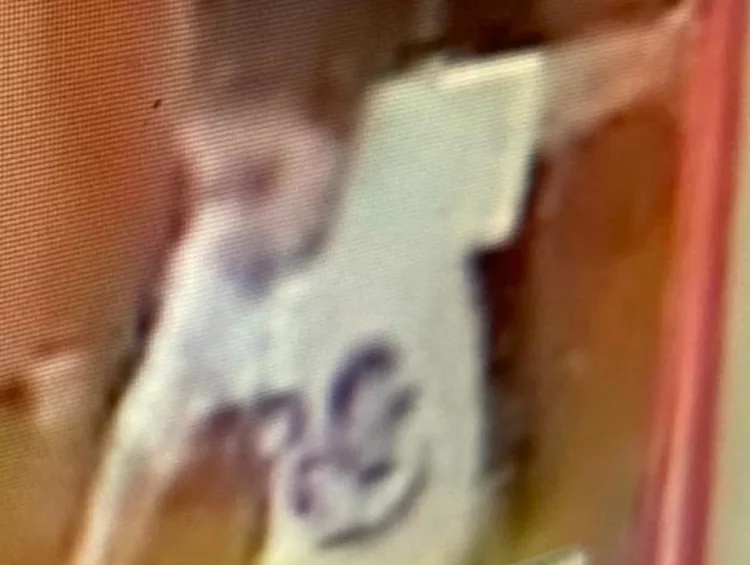 Bambina di 5 anni rapita nel Catanese: portata via da uomini armati