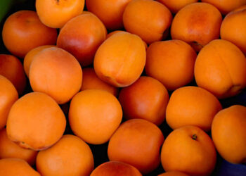 Dimagrire con la dieta delle albicocche