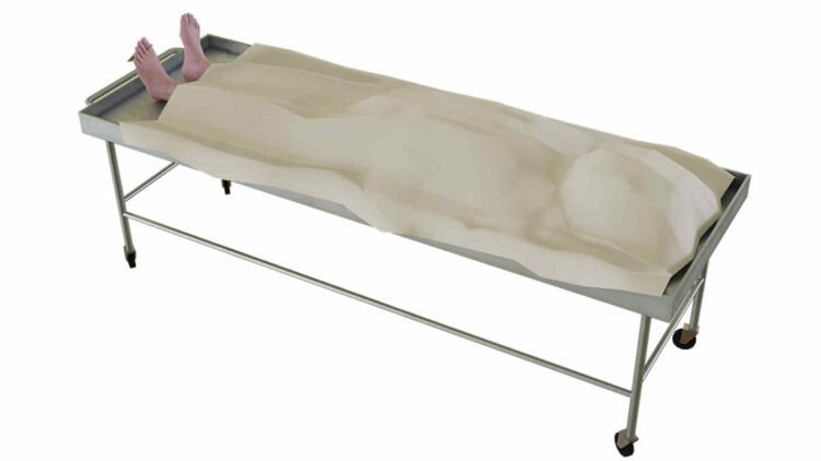 Corso Internazionale di rinoplastica su cadaveri a Ragusa