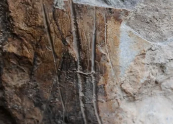 Giornate Europee dell'Archeologia a Termini Imerese