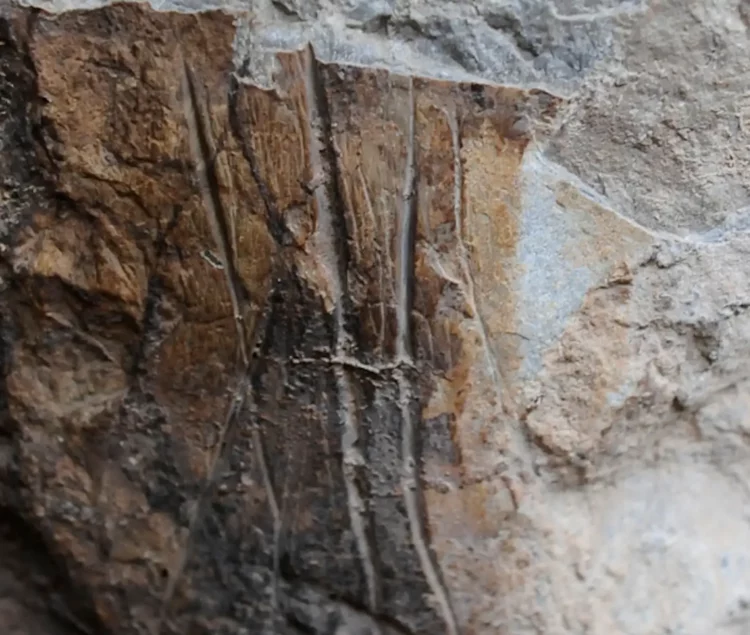 Giornate Europee dell'Archeologia a Termini Imerese