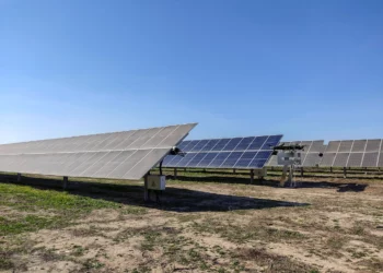 La siciliana Reiwa tra i big della robotica mondiale