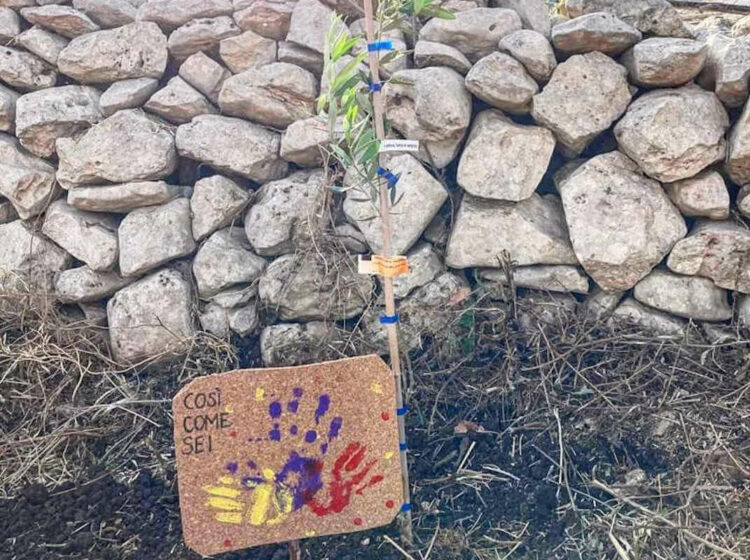 Ragusa -L’associazione Così come sei onlus in visita agli orti sociali di Proxima Ragusa. “Ci hanno fatto un regalo straordinario. Per certi versi inatteso. Ma che fa risaltare la loro grande sensibilità”. Così Letizia Blandino, responsabile comunicazione della cooperativa Proxima Ragusa, a proposito della visita dell’associazione Così come sei onlus, che si occupa di inclusione per persone diversamente abili, agli orti sociali della cooperativa, la cui attività è mirata all’integrazione e all’inserimento lavorativo dei soggetti beneficiari dei progetti di Proxima, vittime di tratta e grave sfruttamento. “A memoria della loro visita – prosegue Blandino – ci hanno donato un meraviglioso alberello d’ulivo che adesso toccherà a noi salvaguardare e fare crescere nella maniera migliore all’interno dei nostri orti. Un dono toccante che ci ha emozionato nel profondo”. La visita è stata caratterizzata dalla scoperta delle colture piantate in campo aperto e dall’illustrazione del funzionamento del sistema di coltivazione in acquaponica. “Il tour all’interno degli orti sociali – spiega dal canto suo Marcello Firrincieli, coordinatore dell’attività degli orti sociali – è proprio terminato con la piantumazione, fatta assieme, dell’alberello d’ulivo. Ce ne prenderemo cura con l’auspicio che cresca rigoglioso e sano pensando a questo bellissimo momento di condivisione”.