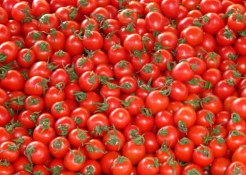 Pomodoro per dimagrire a giugno: menù dieta