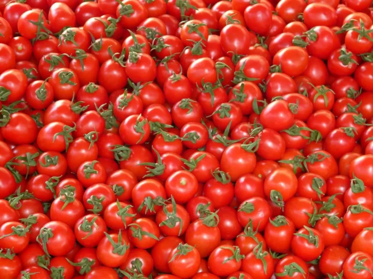 Pomodoro per dimagrire a giugno: menù dieta